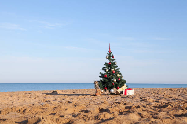 albero di natale con il dono del resort tropicale sulla spiaggia - christmas palm tree island christmas lights foto e immagini stock