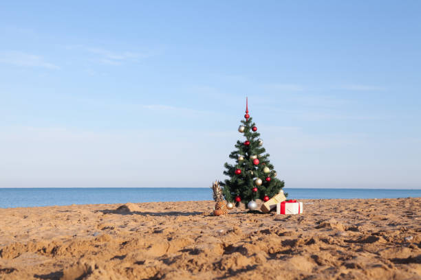 choinka z darem tropikalnego kurortu na plaży - bay wreath zdjęcia i obrazy z banku zdjęć