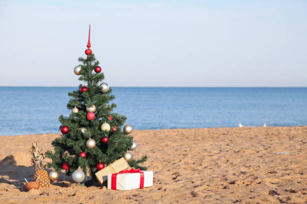 albero di natale con il dono del resort tropicale sulla spiaggia - christmas palm tree island christmas lights foto e immagini stock