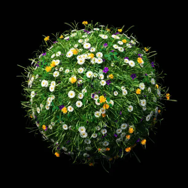 beautiful sphere meadow (3d illustration isolated on black background)