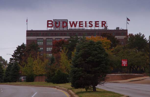 marca budweiser en el campus de saint louis cervecero - budweiser fotografías e imágenes de stock