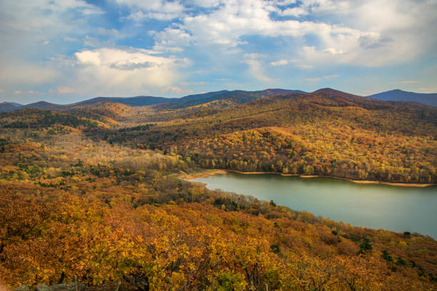 istock a large reservoir, top view. autumn forest and high blue sky, 870784998