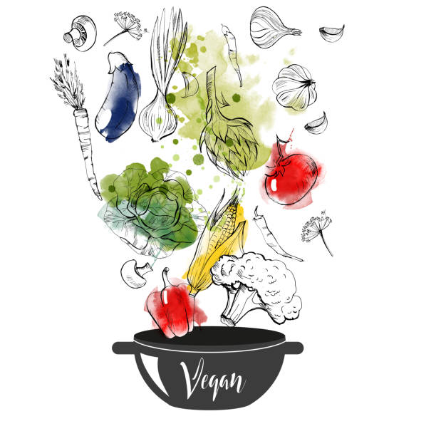 illustrazioni stock, clip art, cartoni animati e icone di tendenza di verdure - vector illustration and painting food cooking