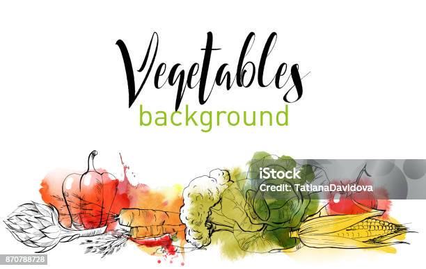 Ilustración de Verduras y más Vectores Libres de Derechos de Vegetal - Vegetal, Alimento, Pintura de acuarela