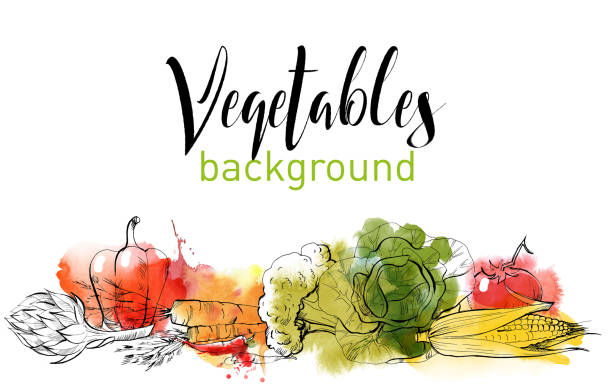 ilustrações de stock, clip art, desenhos animados e ícones de vegetables - tempera painting