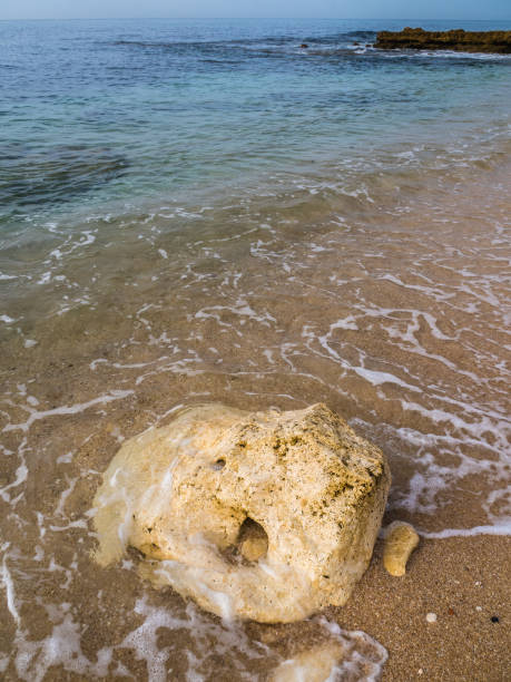 istock Sandstone coastline with sandy beaches at Gale 870789042
