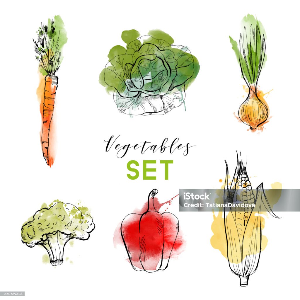 vegetables vegetables vector set Vegetable stock vector
