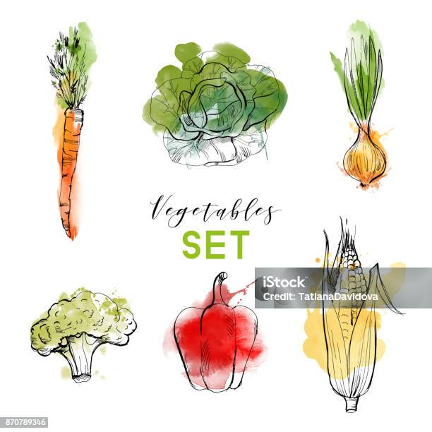 Vegetables Stock Illustration - Download Image Now - Vegetable, Illustration, Carrot