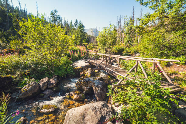 istock Old Wooden Bridge over Creek 870789378