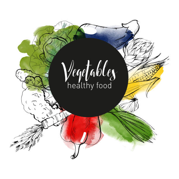vegetables vegetables vector background radish art drawing stock illustrations