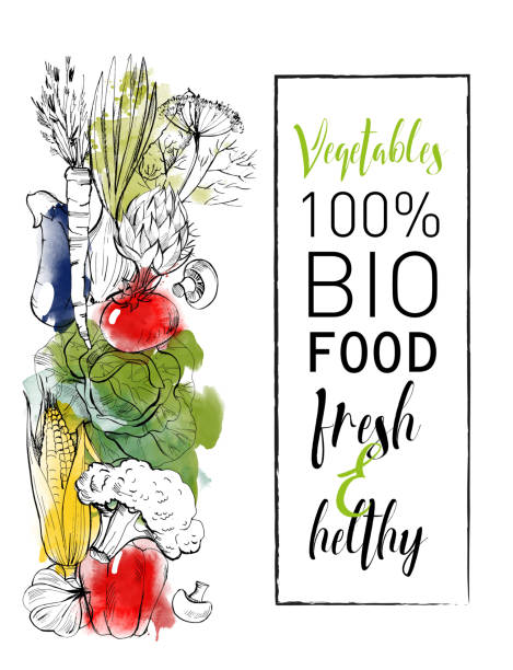 vegetables vegetables vector background radish art drawing stock illustrations