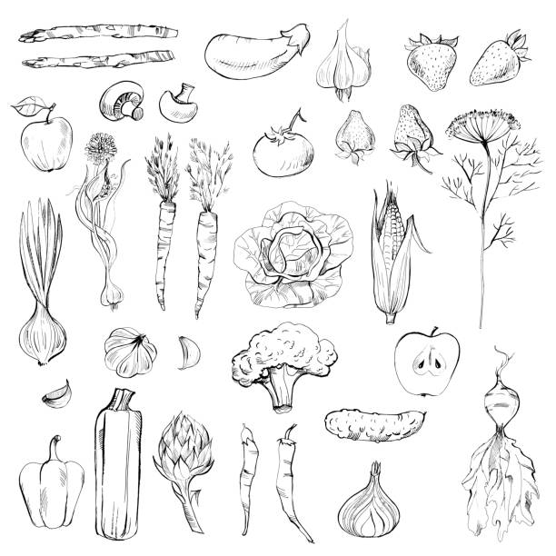 овощи - corn fruit vegetable corn on the cob stock illustrations