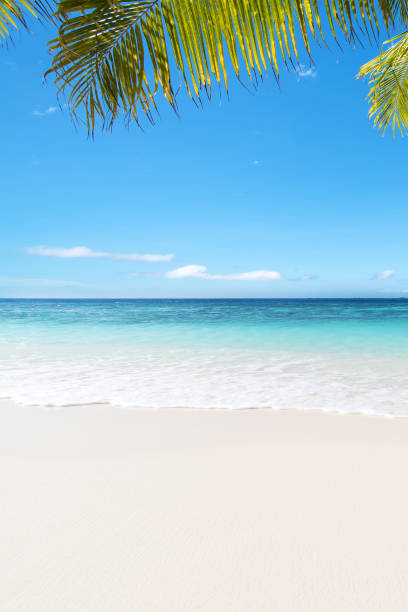 Tropical beach of Maldives
