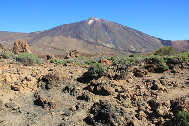 istock CANARY ISLAND TENERIFE 870802742