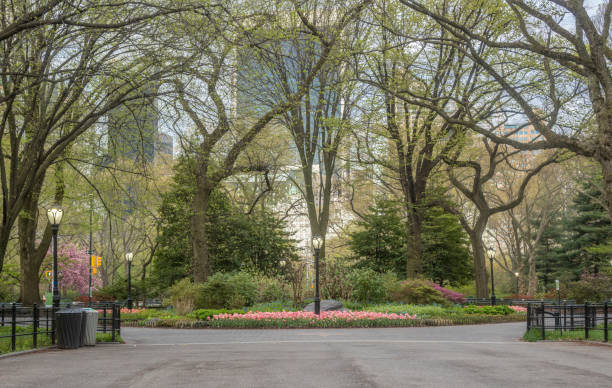 istock Central Park, New York City spring 870803446