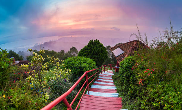 istock George Town City view from Penang Hill during dawn 870805984