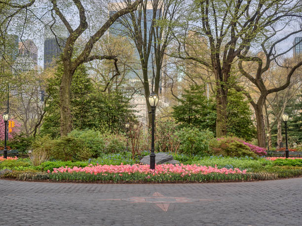 istock Central Park, New York City spring 870807122