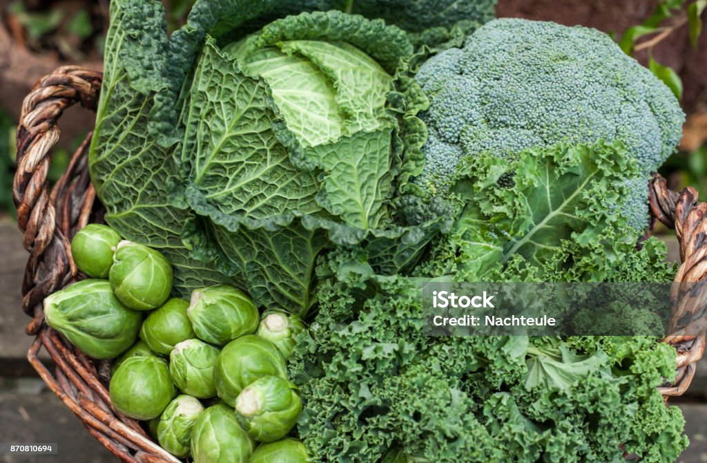 varios coles verdes en invierno cesta verduras en luz del día - Foto de stock de Vegetal libre de derechos