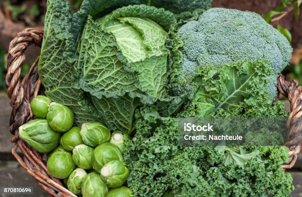 Varios Coles Verdes En Invierno Cesta Verduras En Luz Del Día Foto de stock y más banco de imágenes de Vegetal