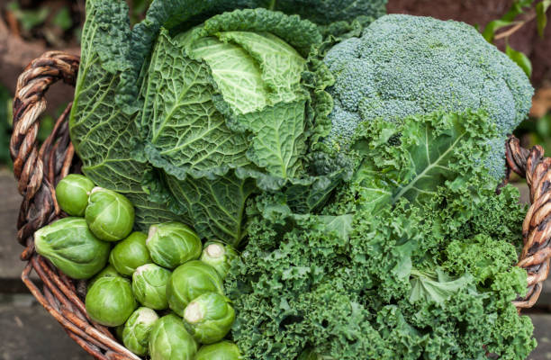 légumes de saison d’hiver divers choux verts dans le panier sur la lumière du jour - brassicaceae photos et images de collection