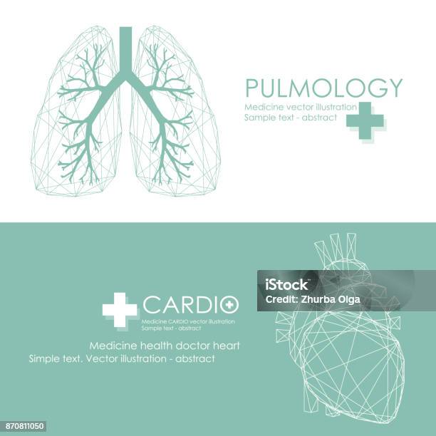 Medicine Stock Illustration - Download Image Now - Lung, Illustration, Human Lung