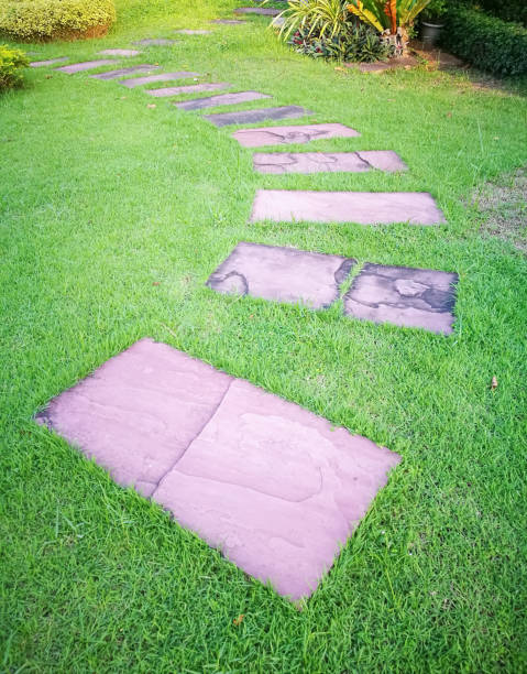 istock Garden walk with green plant 870811658