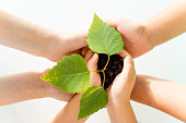 kinder-mit-einer-pflanze.jpg?b=1&s=170x170&k=20&c=HfJzj28_ZI177n0cajx03BnnALi62fjPQtaJ8vXV11E=
