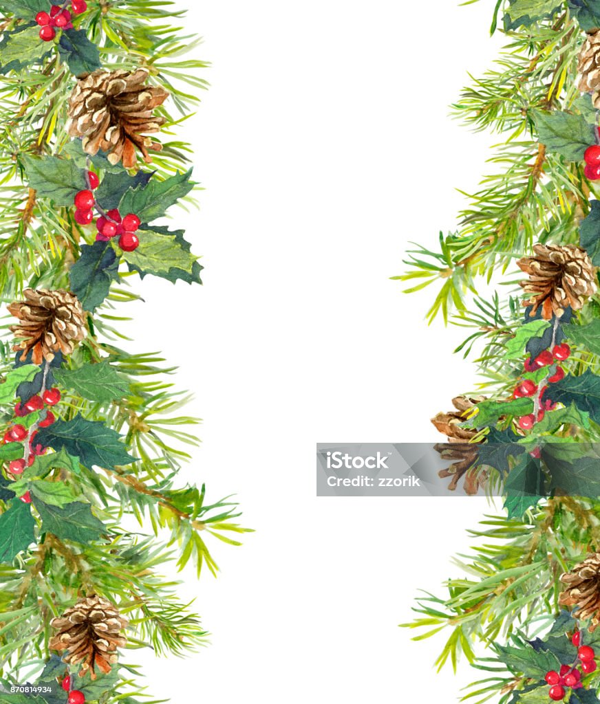 Cành Cây Thông Noel Cây Tầm Gửi Khung Liền Mạch Watercolor Hình ...