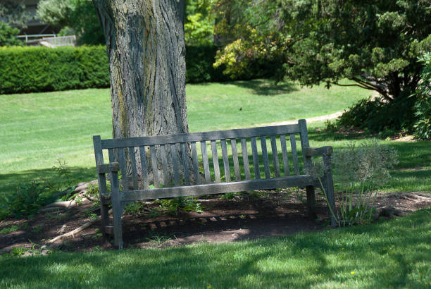 istock Wooden Bench on a Green Lawn 870815210