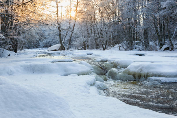 istock Sunset in the woods by the river with snow and ice 870821656