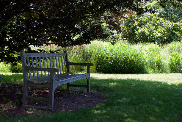 istock Wooden Bench on a Green Lawn 870828086