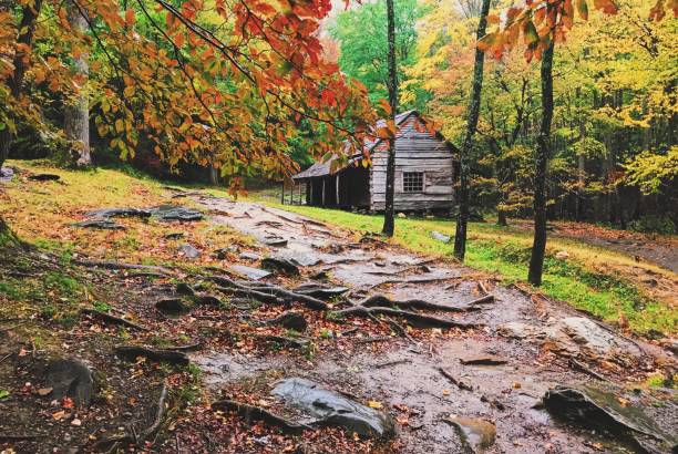 그레이트 안개 자욱한 산맥에 버드 어두워지고 오두막 - gatlinburg great smoky mountains national park north america tennessee 뉴스 사진 이미지