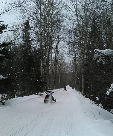 Winter landscape with the road and the forest