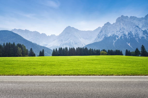 アスファルトの道路と緑色の草原 - grass green landscape field ストックフォトと画像