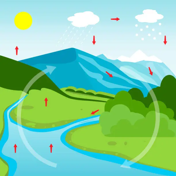 Vector illustration of Water Cycle Diagram