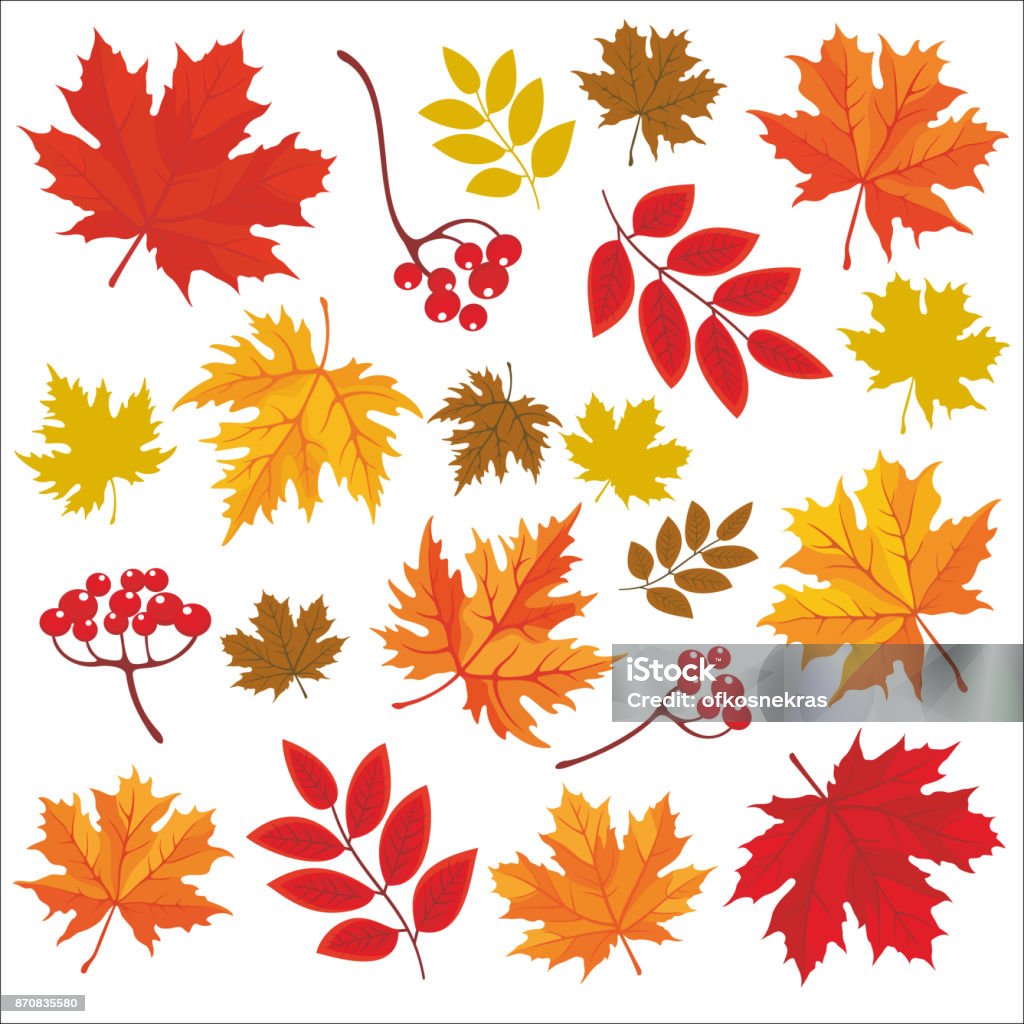 Giorno del Day_30 - arte vettoriale royalty-free di Autunno