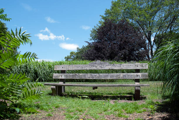 istock Wooden Bench on a Green Lawn 870835762