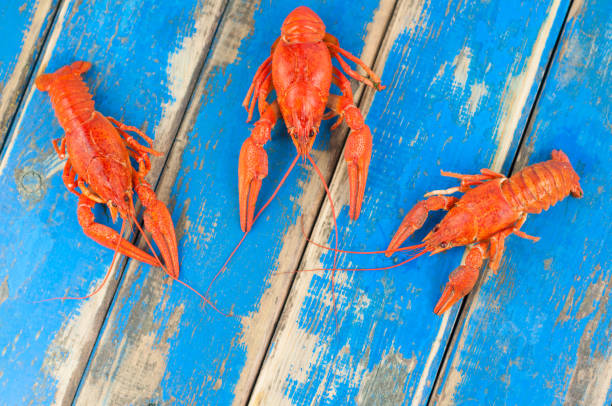 istock Three whole red boiled crawfish on old rustic blue wooden planks 870839074