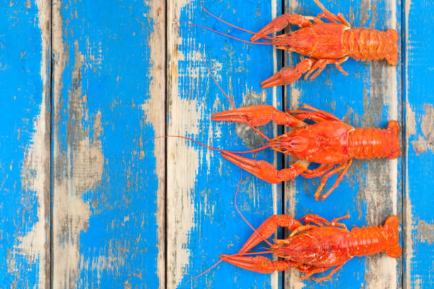 istock Row of three whole red boiled crawfish on old rustic blue wooden planks 870839124