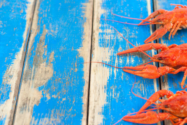 istock Row of three whole red boiled crawfish on old rustic blue wooden planks 870839136