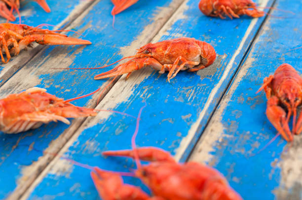 istock Many scattered whole red boiled crawfish on old rustic blue wooden planks 870839170