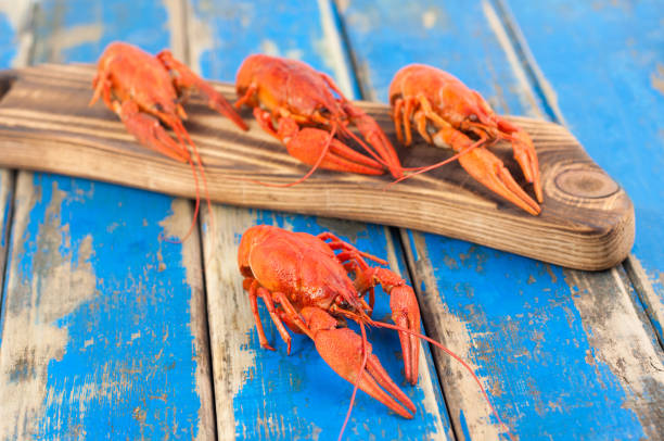 istock One whole red boiled crayfish near many crawfish on brown cutting board on old rustic blue wooden planks 870839404