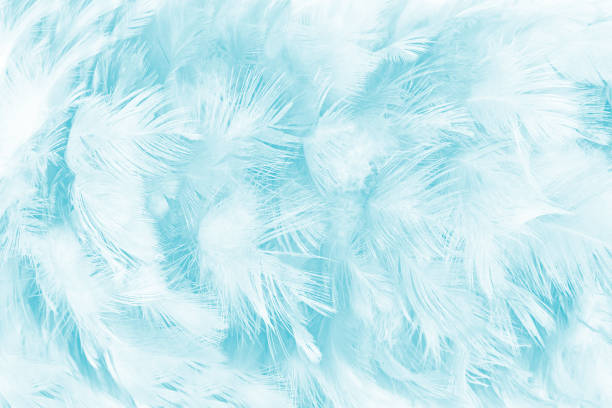 istock green turquoise vintage color trends chicken feather texture background 870842218
