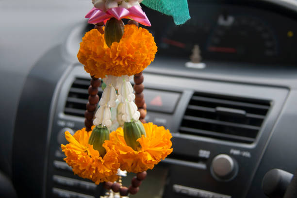 flower garland contains the yellow Marigold and crown flower hanging in the car. stock photo