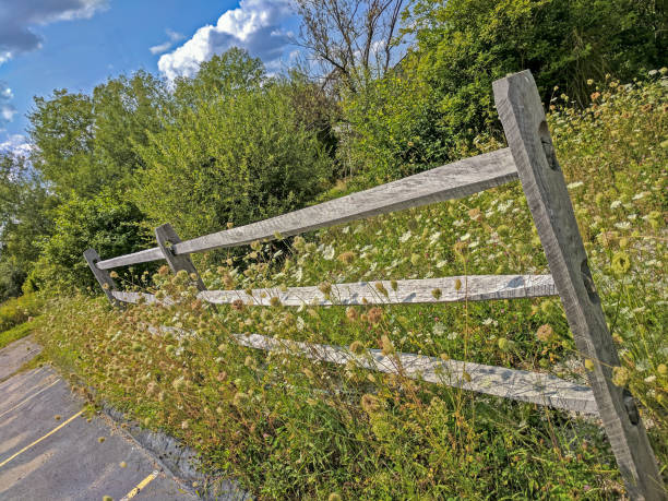istock Wooden fence 870844008