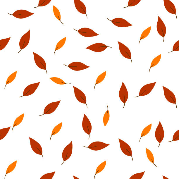 bezszwowy wzór jesiennych liści . ilustracja wektorowa na białym tle. - leafes fruit orange leaf stock illustrations