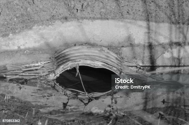 Closeup In The Gutter A Lot Of Water Clogged Sewer Stock Photo - Download Image Now