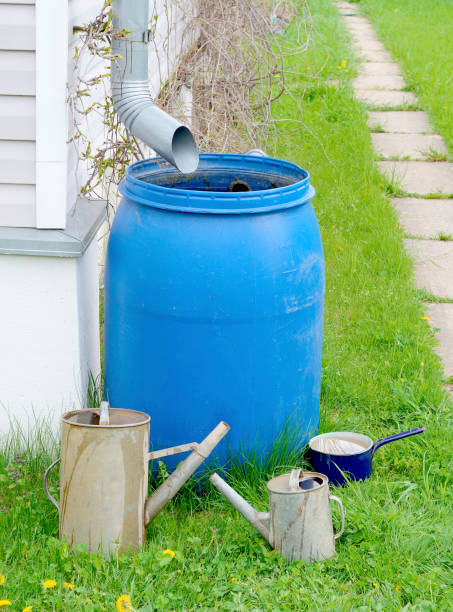 barrel watering can bucket blue plastic barrel to drain rainwater out of the sewer pipes, a small and a big old garden watering cans of galvanized metal and metallic blue pot on green grass in summer watering pail stock pictures, royalty-free photos & images