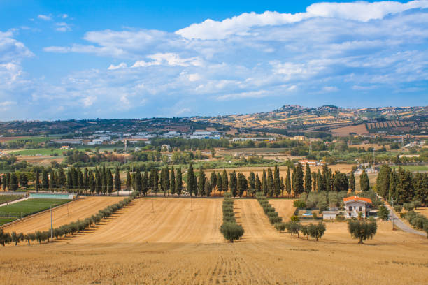 istock Italy Landscape View with Clouds on Blue sky, Italian Fields 870860670