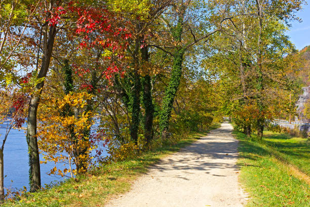 A trail along Potomac River in Harpers Ferry National Historic Park, West Virginia, USA. Colorful deciduous trees in fall on the along the river bank. harpers ferry photos stock pictures, royalty-free photos & images